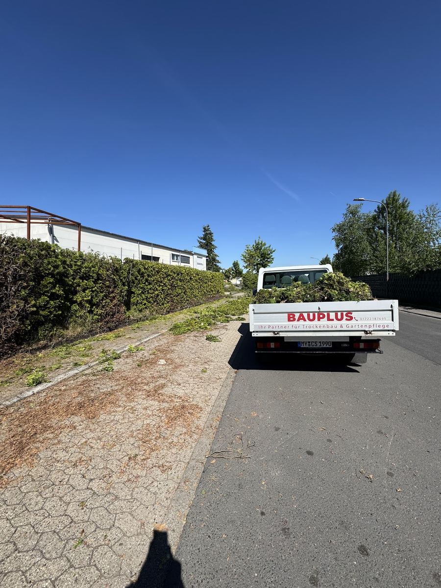 BauPlus-Pritschenwagen voll mit Heckenschnitt neben frisch geschnittener Hecke — Branding gut sichtbar.